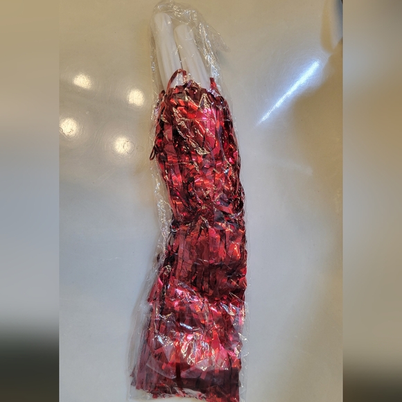 NWT Halloween Cheerleader Costume - Picture 5 of 5